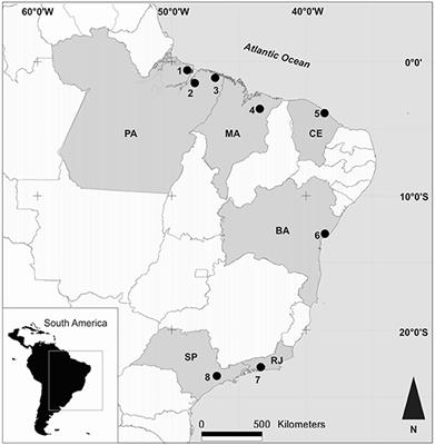 Dolphins, Love and Enchantment: Tracing the Use of Cetacean Products in Brazil